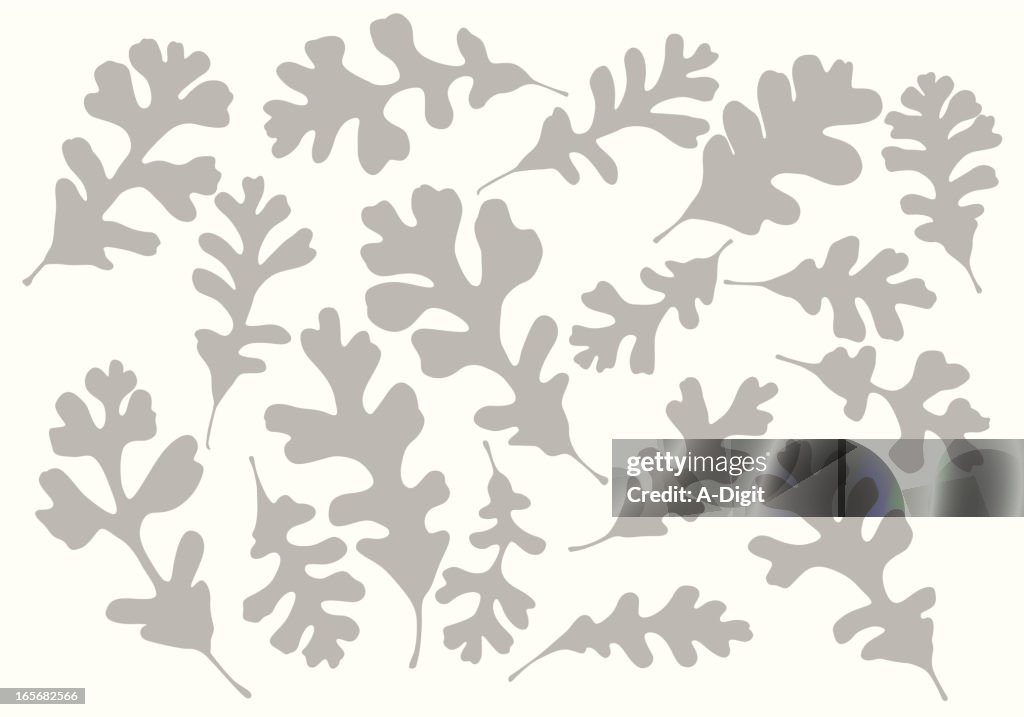 Different Oak Leaves Background Vector Silhouette