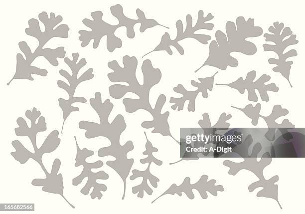 different oak leaves background vector silhouette - oak leaf 幅插畫檔、美工圖案、卡通及圖標