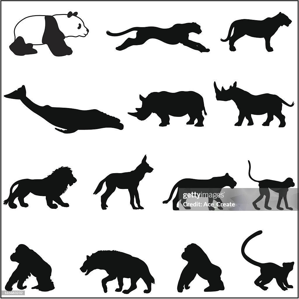 Endangered species silhouettes