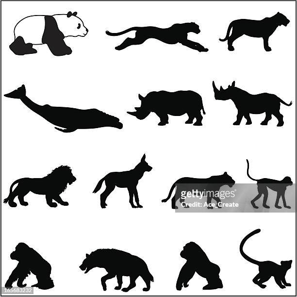 endangered species silhouettes - orang utan stock illustrations