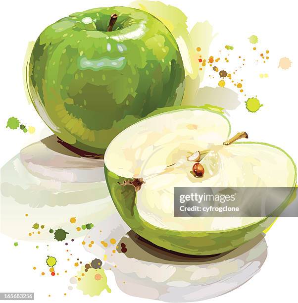 painted green apple cut in half  - green apple slices stock illustrations