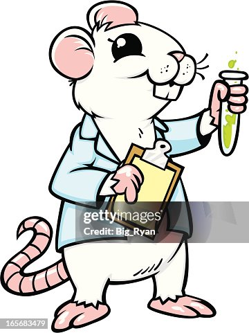 Lab rat Lab rat