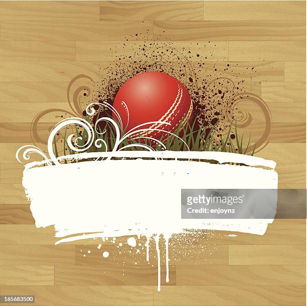 cricket design - cricket stock illustrations