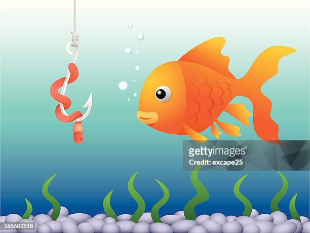 goldfish and bait - fishing hook worm stock illustrations