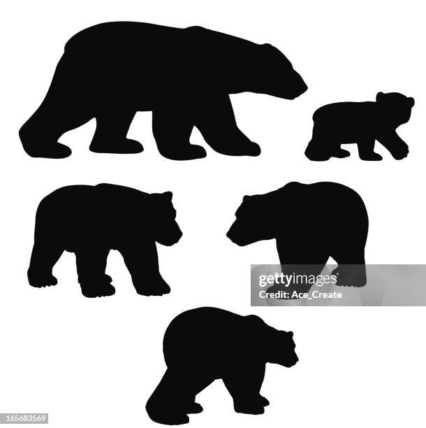 ilustraciones, imágenes clip art, dibujos animados e iconos de stock de oso polar silueta collection con cachorro - grupo grande de animales