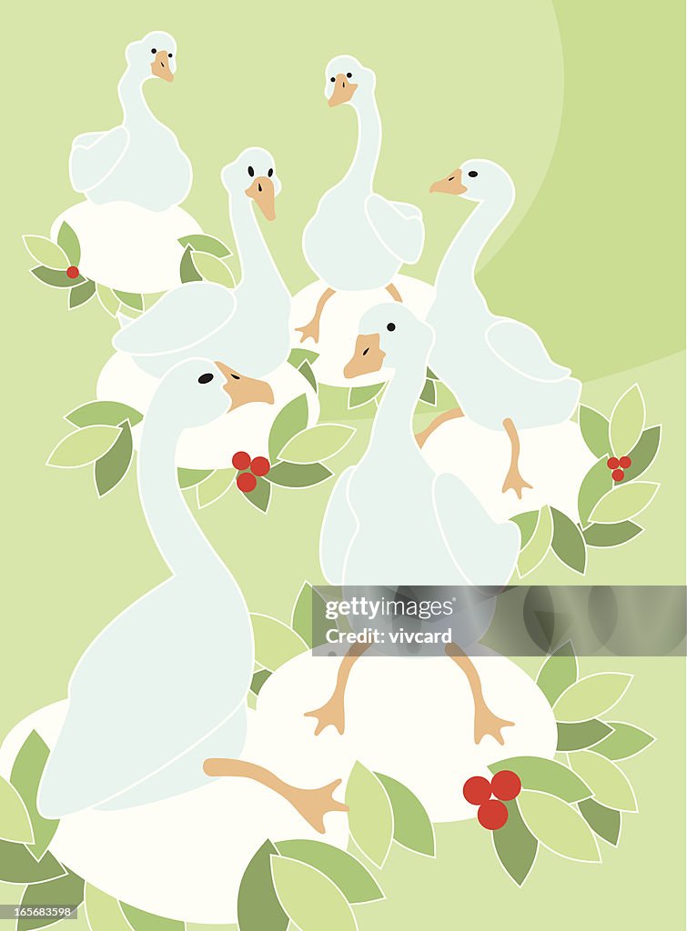 Six Geese A-Laying