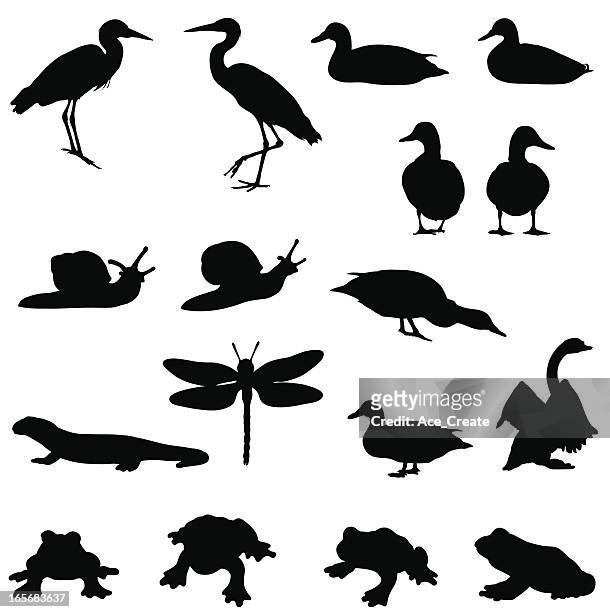 pond life silhouettes - pond snail stock illustrations