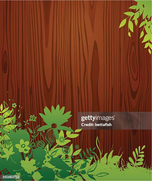 Wood Spring Graphics 1,192 Wood Spring Background High Res Illustrations - Getty Images