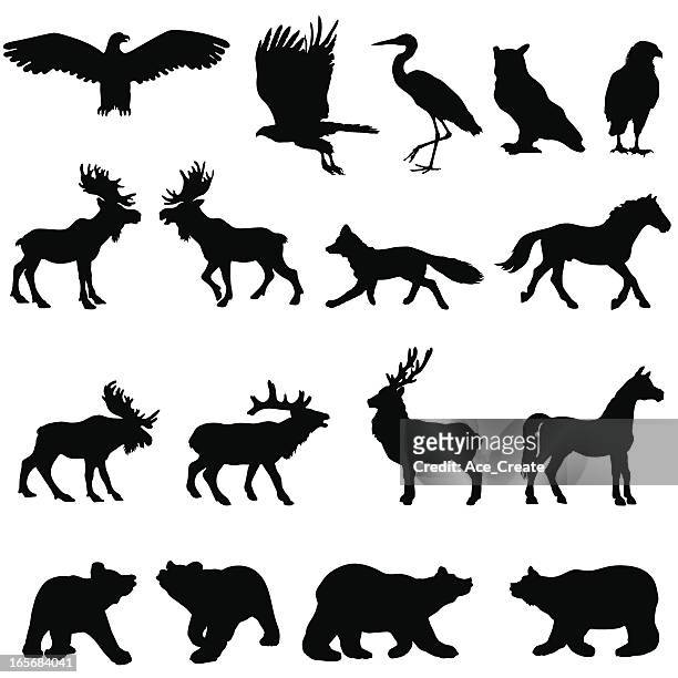 ilustraciones, imágenes clip art, dibujos animados e iconos de stock de gran conjunto de animales de bosques de silhouette - zorro