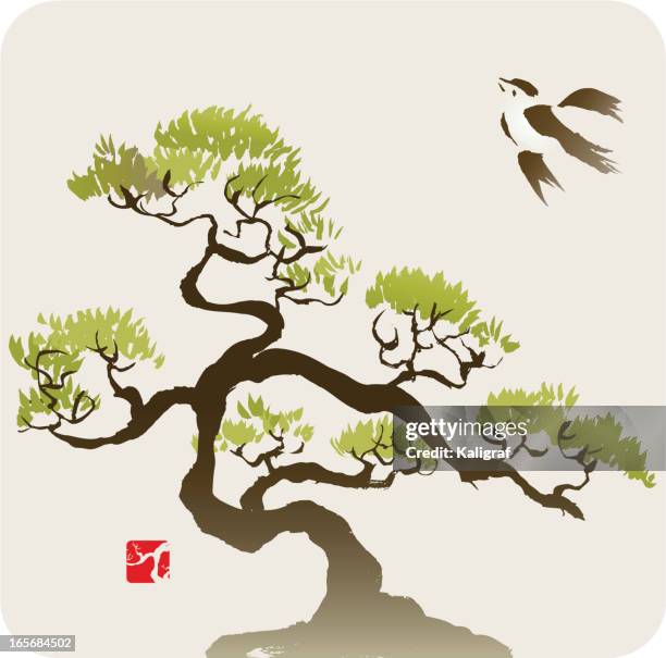 bird and the small pine tree or bonsai - bonsai tree stock illustrations