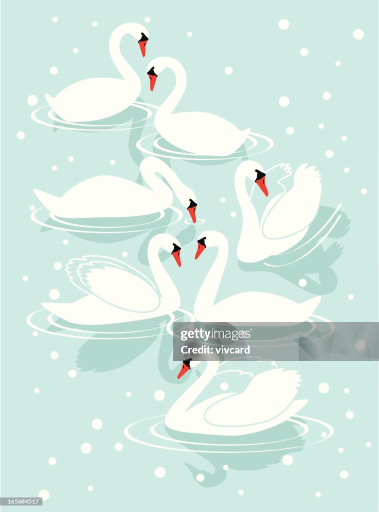 Seven Swans A-Swimming