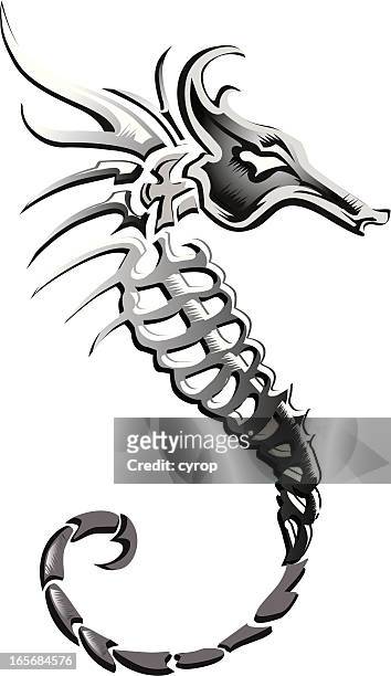ilustraciones, imágenes clip art, dibujos animados e iconos de stock de falsa seahorse skeleton - vertebrae