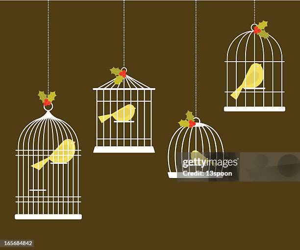 christmas birdcages - finch stock illustrations