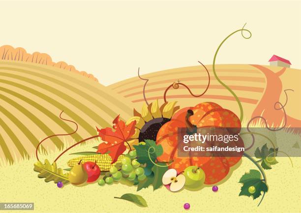 autumn still-life with road to farm. - abundance stock illustrations