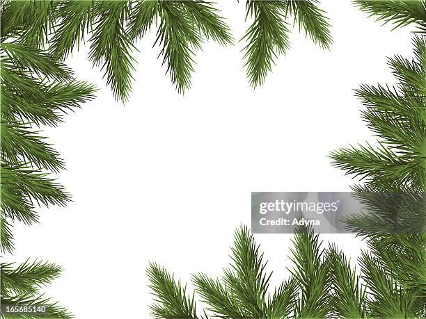 grüne rahmen - fir tree stock-grafiken, -clipart, -cartoons und -symbole