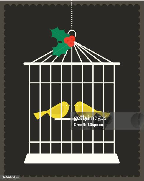 christmas canaries - finch stock illustrations