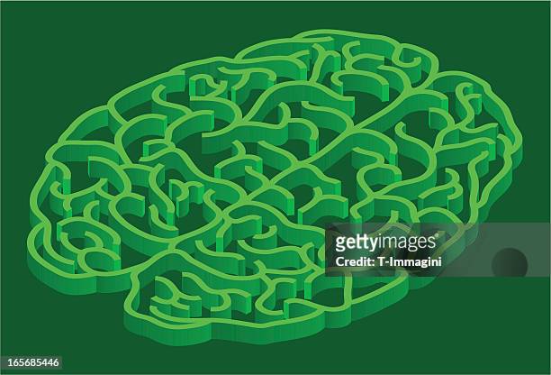 ilustrações, clipart, desenhos animados e ícones de verde labirinto cérebro - cérebro de animal
