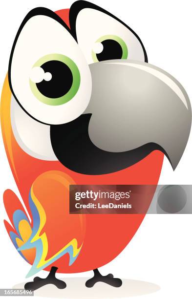 cute parrot cartoon - macaw - macaw stock illustrations