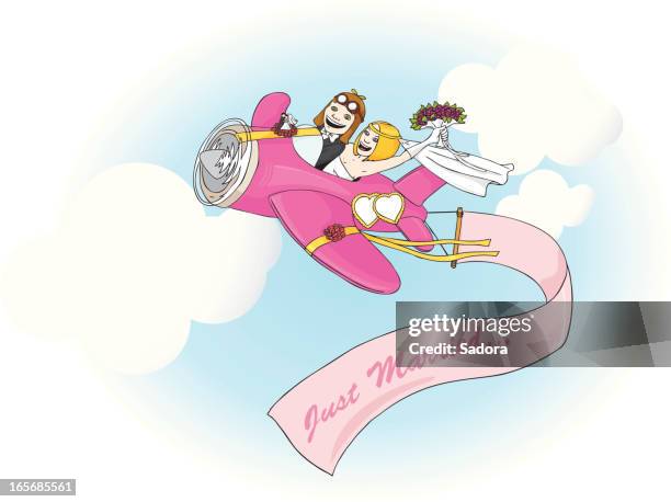 ilustraciones, imágenes clip art, dibujos animados e iconos de stock de recién casados pareja en avión - copiloto piloto de aeronave
