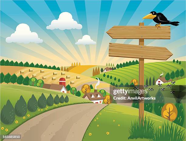 ilustraciones, imágenes clip art, dibujos animados e iconos de stock de señal de campo - track and field