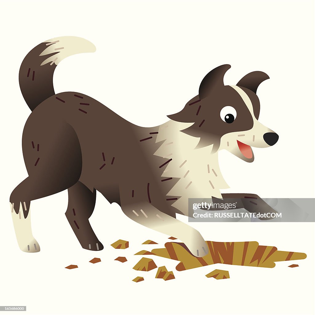 Digging Dog