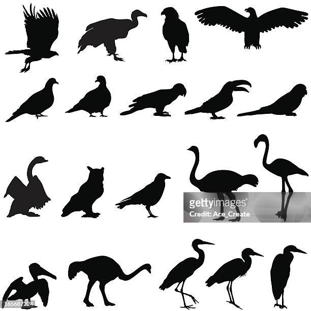 silhouette collection of birds - standing stock illustrations