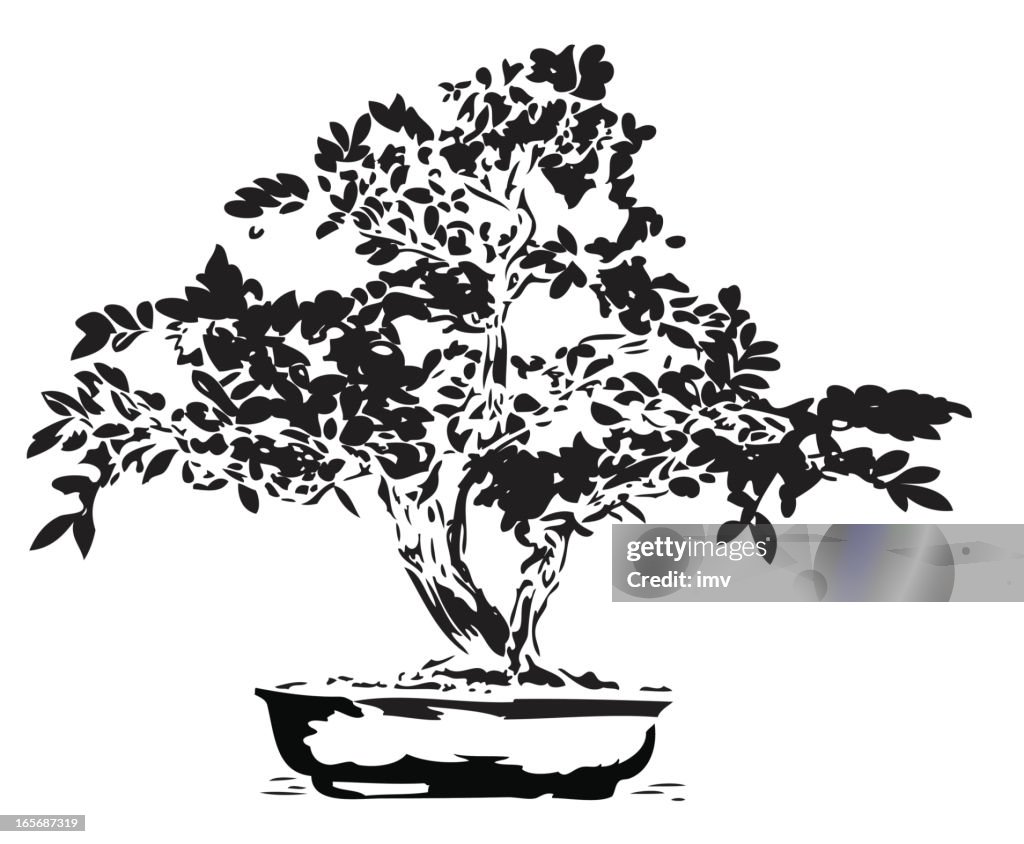 Bonsai illustration in black lines