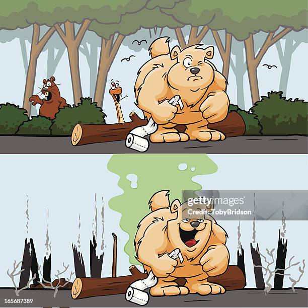 bear in the woods - fart stock illustrations