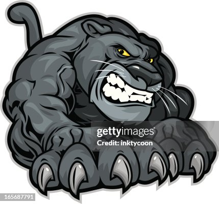 Panther Scratch Panther Scratch