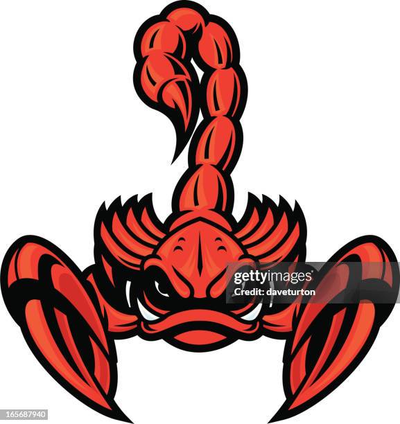 ilustraciones, imágenes clip art, dibujos animados e iconos de stock de escorpión - scorpion stinger