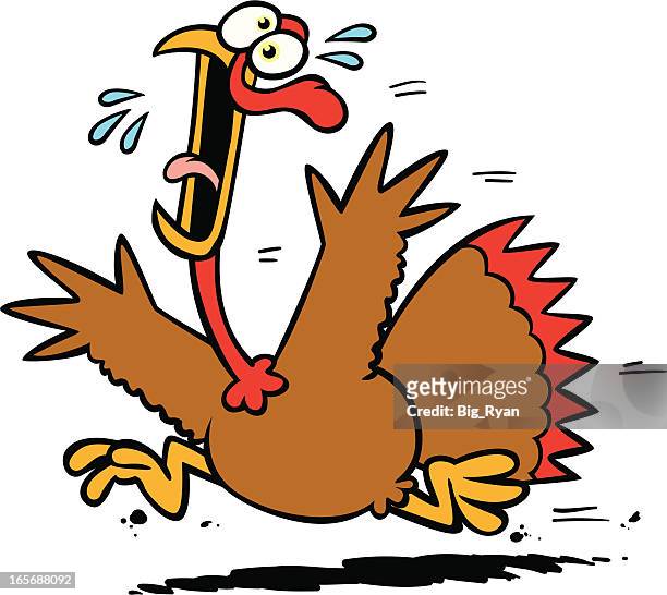 stockillustraties, clipart, cartoons en iconen met panic turkey - big bird