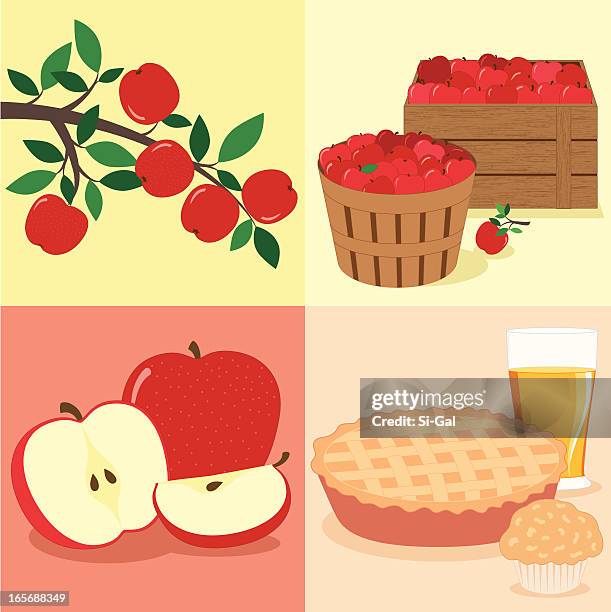 apples from tree to table - apple crate stock illustrations