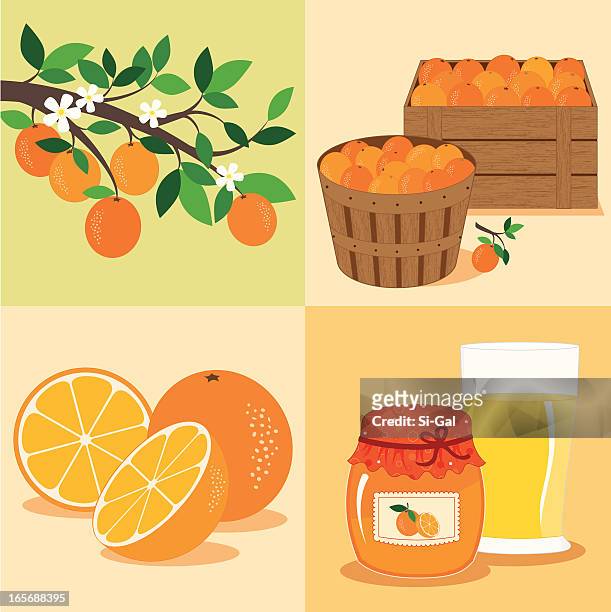 stockillustraties, clipart, cartoons en iconen met oranges from tree to table - crate