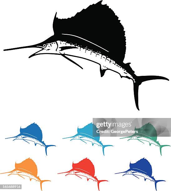 illustrazioni stock, clip art, cartoni animati e icone di tendenza di pesce vela - marlin