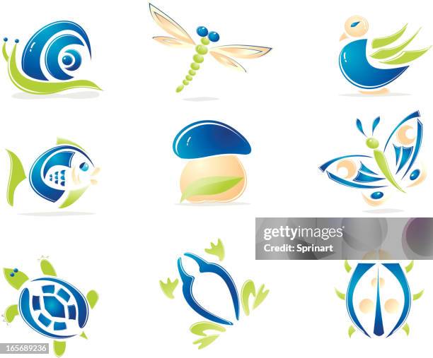 40 Turtle Frog Snail Stock Photos, High-Res Pictures, and Images