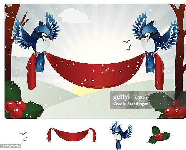 winter-blue jay banner - bird transparent stock-grafiken, -clipart, -cartoons und -symbole