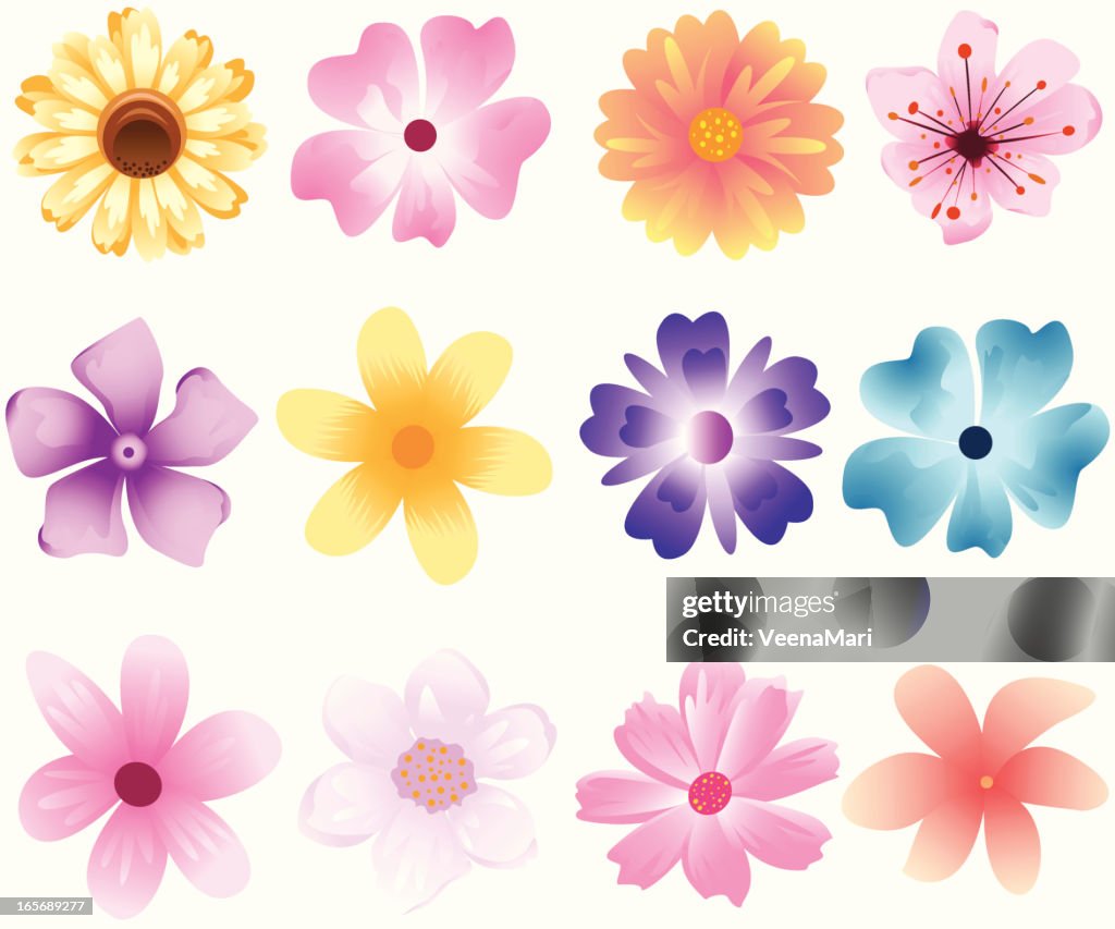 Set of Spring Flower's