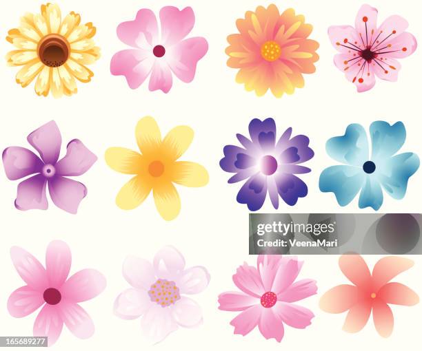 set of spring flower's - periwinkle stock illustrations