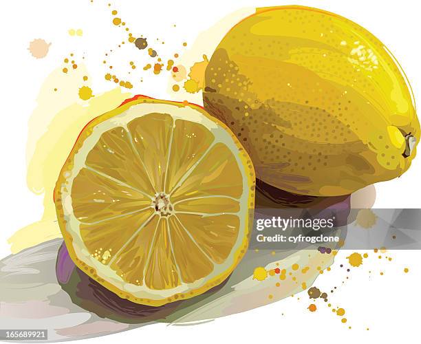 lemon - lime juice stock illustrations
