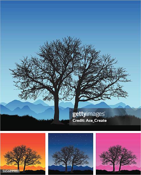large remote beautiful winter tree silhouette - sunset winter sky stock illustrations