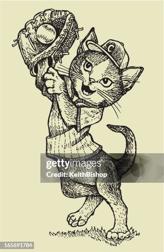 Cat Catching A Baseball High-Res Vector Graphic - Getty Images