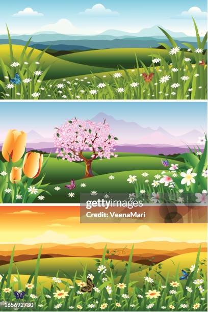 beautiful spring landscape banner - tulip background stock illustrations
