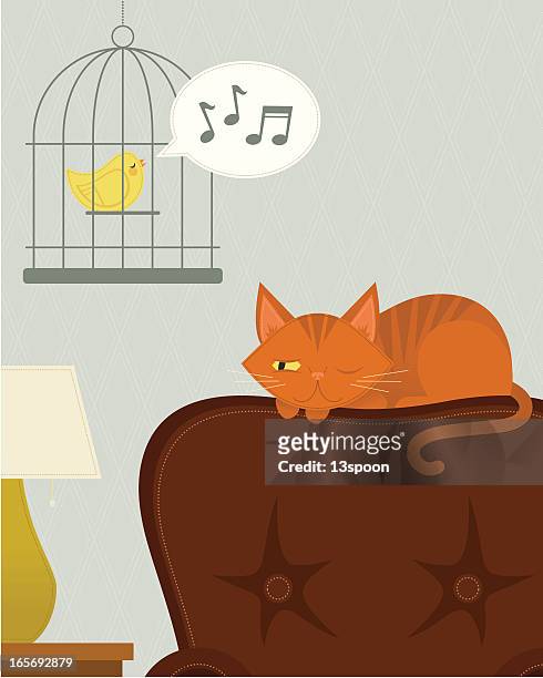 sleeping cat watching bird - canary stock illustrations