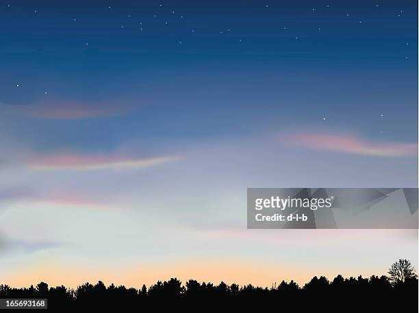 just after sunset with tree line background - dusk stars stock illustrations