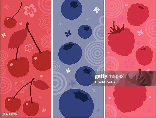 stockillustraties, clipart, cartoons en iconen met fruit cocktail - raspberry
