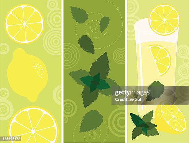 ilustrações, clipart, desenhos animados e ícones de limonada com hortelã - folha de menta culinária