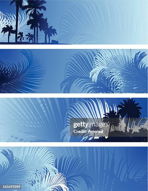 Miami Pattern 39,949 Miami Pattern Stock Photos, High-Res Pictures, and Images ...