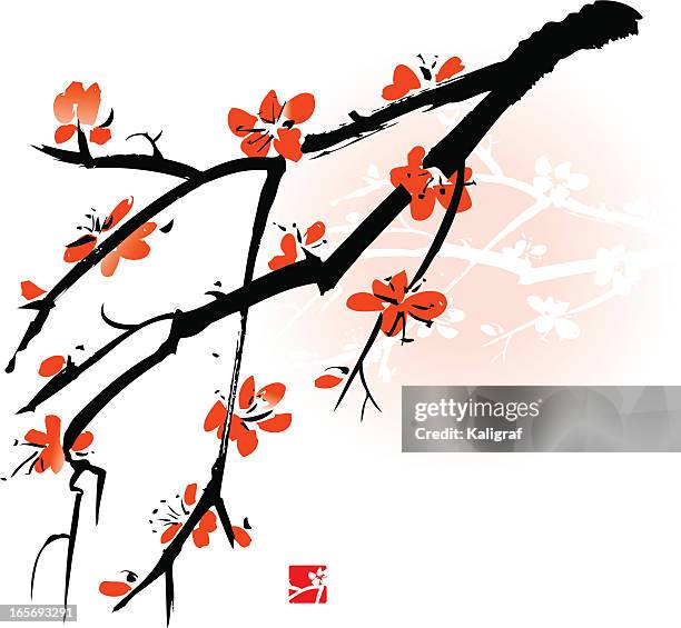 apricot blossom - apricot blossom stock illustrations