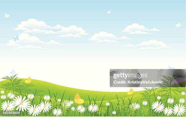 meadow - meadow stock illustrations