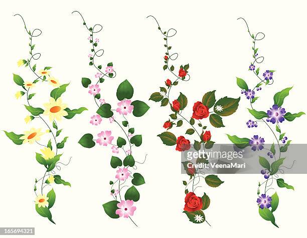 four different vine set - vine stock illustrations